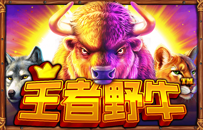 进入欧博官方网站登录